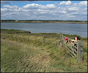 Ashingdon Farm