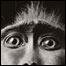 Monkey Eyes, de Tim Flach