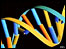 ilustração de uma cadeia de DNA