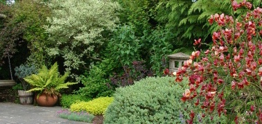 Beechgrove Garden For Life