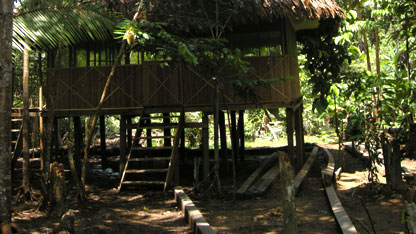 The Ayahuasca Retreat