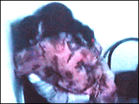 نیٹ بلیک میل