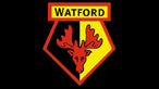 Watford Team Crest