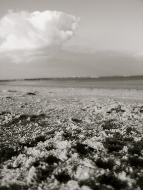 The Smallest Things, Make The Greatest Things