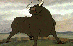 Bull