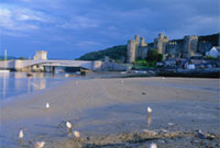 Castell Conwy 