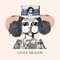 Review of Little Dragon