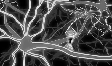 Maze - illustration by Andrew Wyld