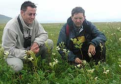 Brett Westwood and Martin Scott