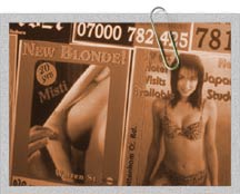 Stats, Observer - ICM survey Aug 2002