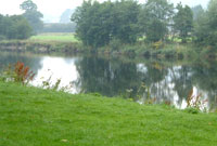 Afon Gwy yn llifo drwy Llanfair-ym-Muallt