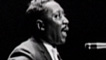 Muddy Waters