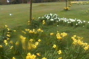 Connie recites a famous poem