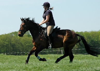 Enjoying the Freedom