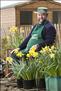 Maurice and his daffodils.
