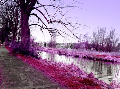 Pink river