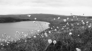 Uilleam MacDhunlèibhe