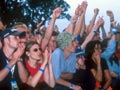 Crowds at a gig