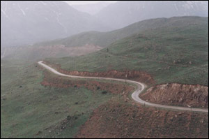 عکس از زهرا ارشادی