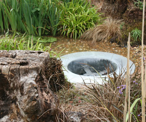 Why we care about chalk streams - plughole