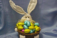 Bwni a basged o wyau