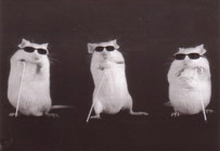 threeblindmice.jpg
