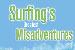 Surfings Greatest Misadventure pic