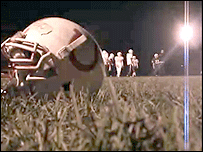 Staffordshire Stallions