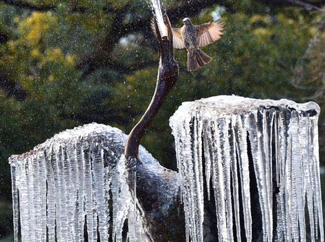 Frozen crane sculpture in Tokyo