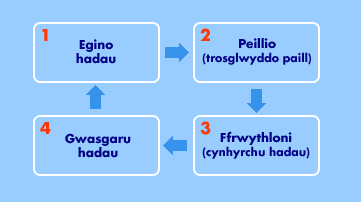 planhigion