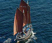 Aerial picture to show huge sails