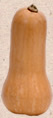 Butternut Squash