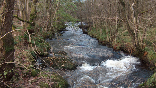Allander Water