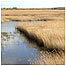 Wetlands Index (Image: Minsmere c/o Ian Barthorpe)