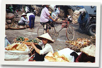 Golyfa yn Vietnam