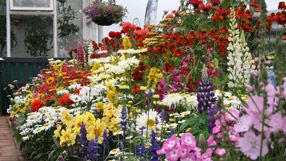 Gold medal Show Garden, The Schedule and its bed of many colours
