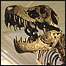 Fóssil de dinossauro