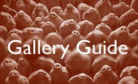 Check out the BBCi Cornwall Gallery Guide
