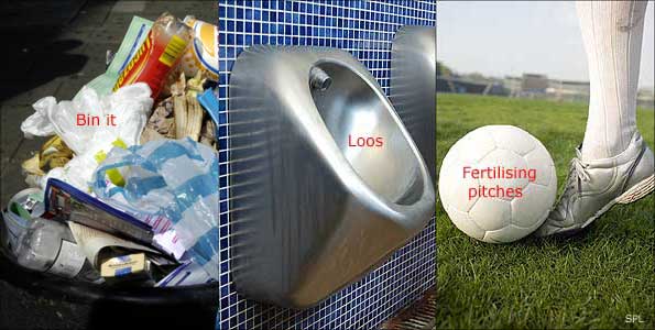 Rubbish, loos and sports pitch