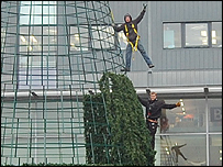 The Mailbox Christmas tree