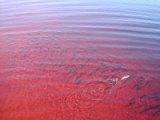 the red colour of the lake
