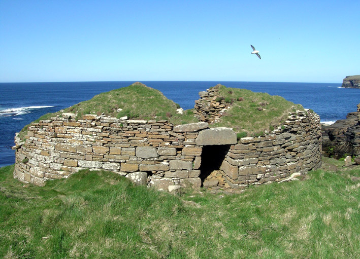 Broch and fulmar