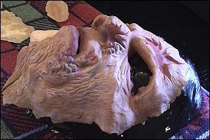 One of David's masks