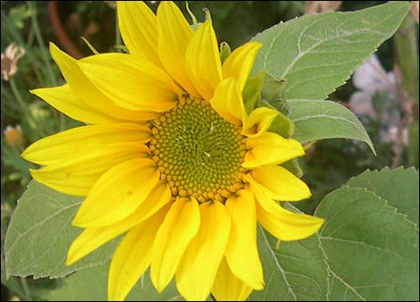 Photo gallery image