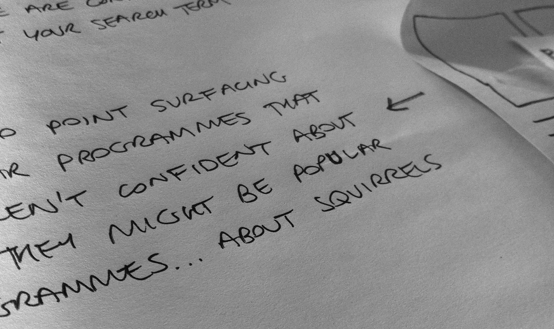 Photo: There might be popular programes about... squirrels