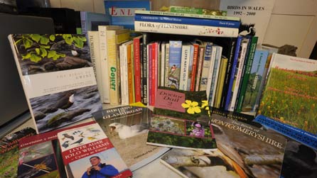 Silff lyfrau Galwad Cynnar