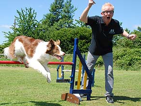 Chris Evans dog handling