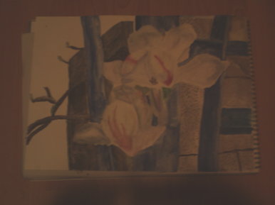 Flowers in the garden