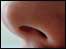 nose