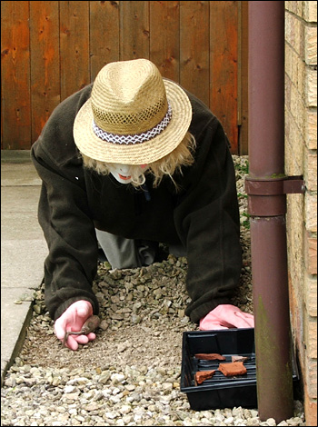 Wanborough Scarecrow Festival 2008